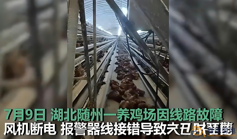 養(yǎng)雞場為什么要24h監(jiān)測溫濕度斷電報警器？